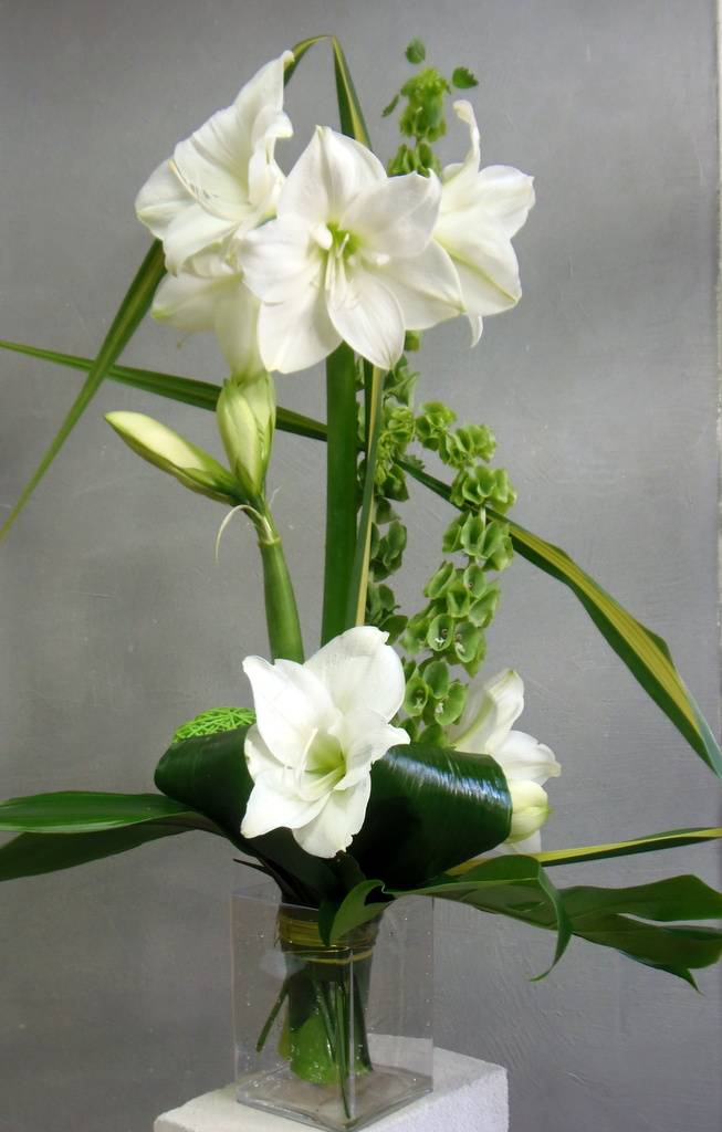 FJORD bouquet amaryllis blanc à partir de 35€.JPG