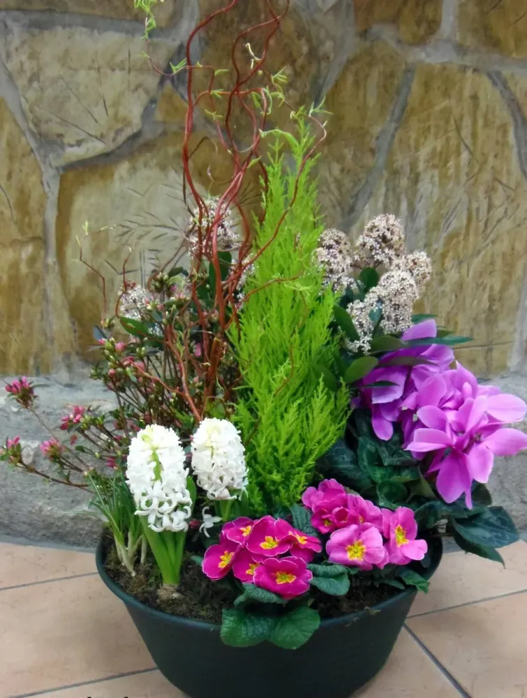 Coupe de plantes 2