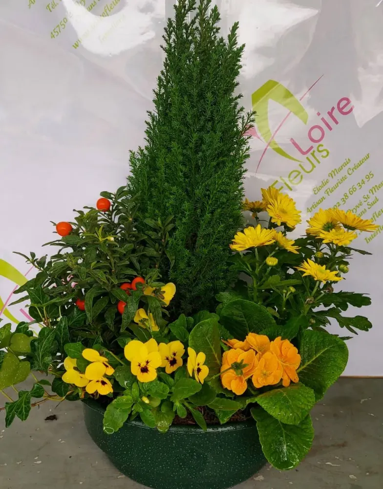 Coupe de plantes 3
