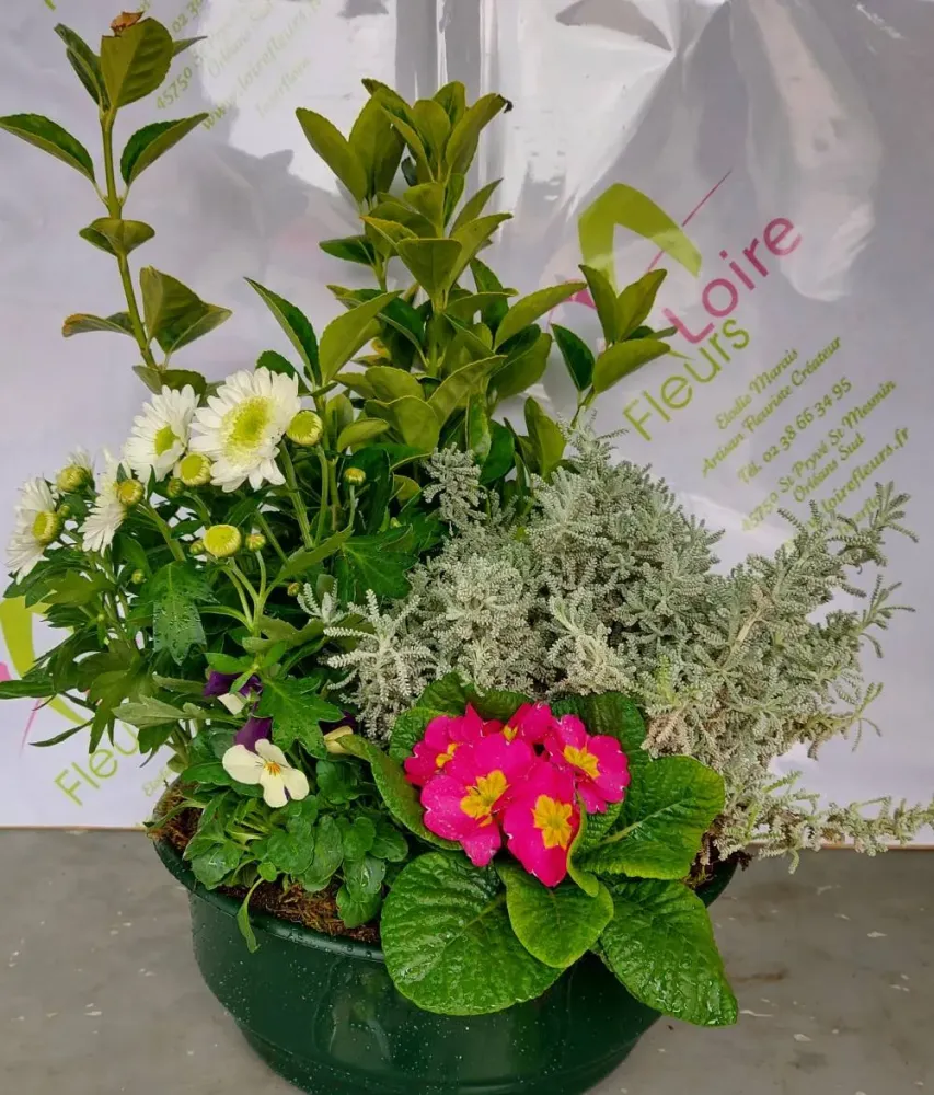Coupe de plantes 4
